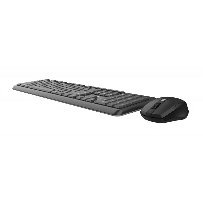 Trust TKM-350 keyboard Mouse included Office RF Wireless QWERTZ German Black