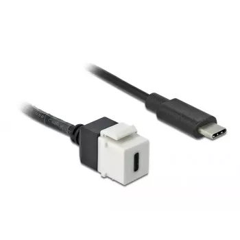 Keystone Module DeLOCK 86399 Flat Black White USB C