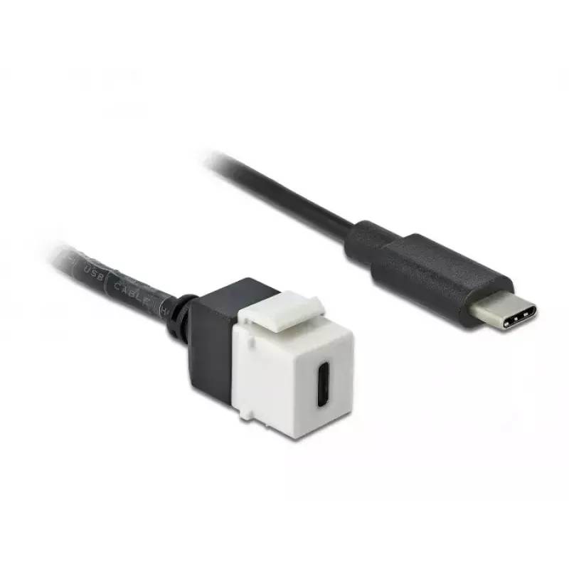 Keystone Module DeLOCK 86399 Flat Black White USB C