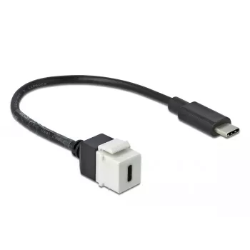 Keystone Module DeLOCK 86399 Flat Black White USB C