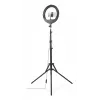 Lighting Ring Hama SpotLight Steady 120 III 160 LED 1020 lm 3000 K