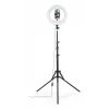 Lighting Ring Hama SpotLight Steady 120 III 160 LED 1020 lm 3000 K