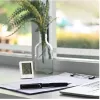 Digital Weather Station Hama 00222233 White Indoor Thermometer Hygrometer