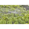 Gardena Spray Nozzle 360° Gardena 13322-20 1 pc