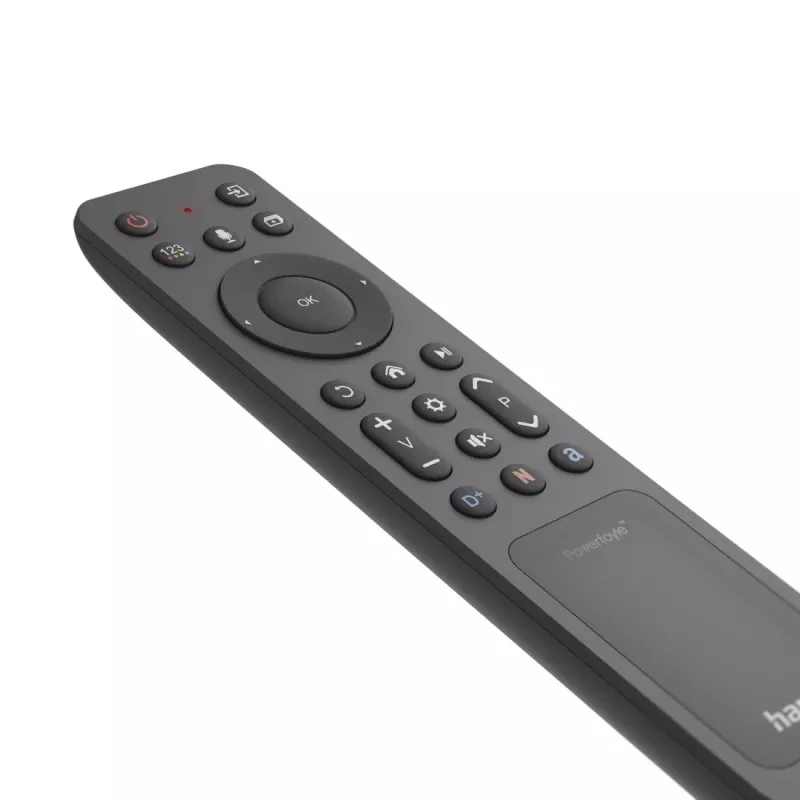 Hama 00221058 remote control Bluetooth TV Press buttons