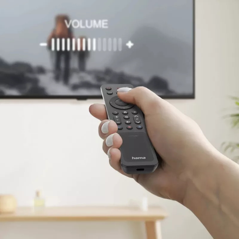 Hama 00221058 remote control Bluetooth TV Press buttons