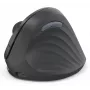 Hama EWM-600R mouse Office Right-hand RF Wireless + Bluetooth Optical 1800 DPI