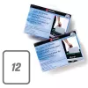 Rexel Shredder Oil Sheets (pack of 12)