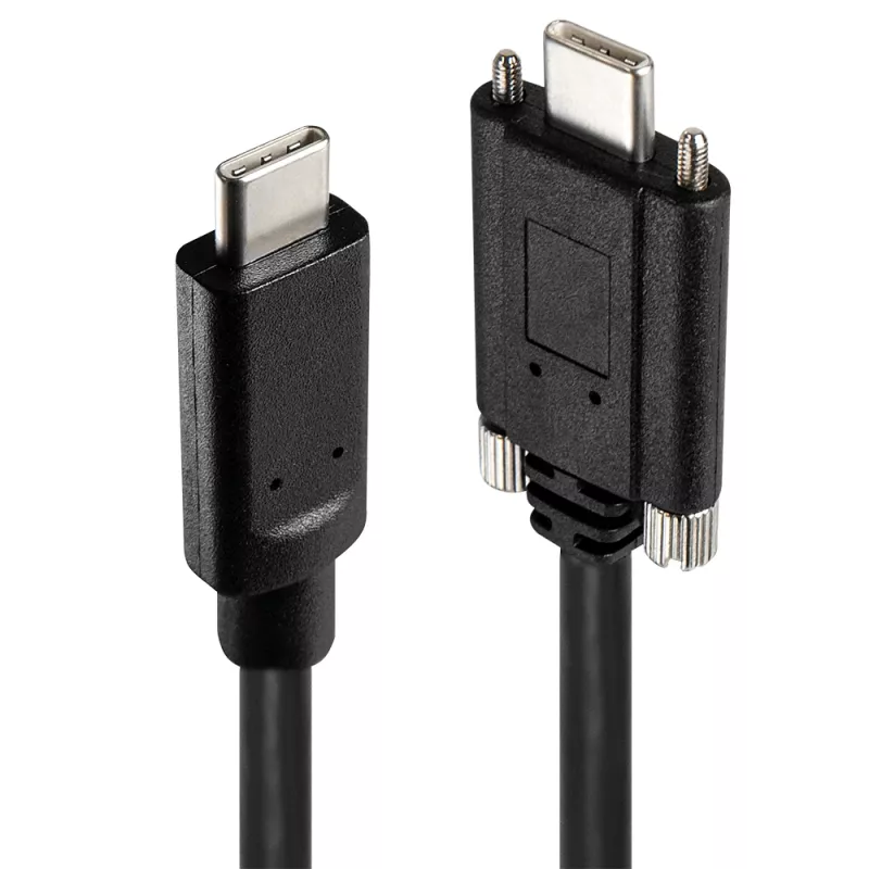 USB Hub Lindy 4 Port USB 3.2 Gen 2 Type C Metal Hub