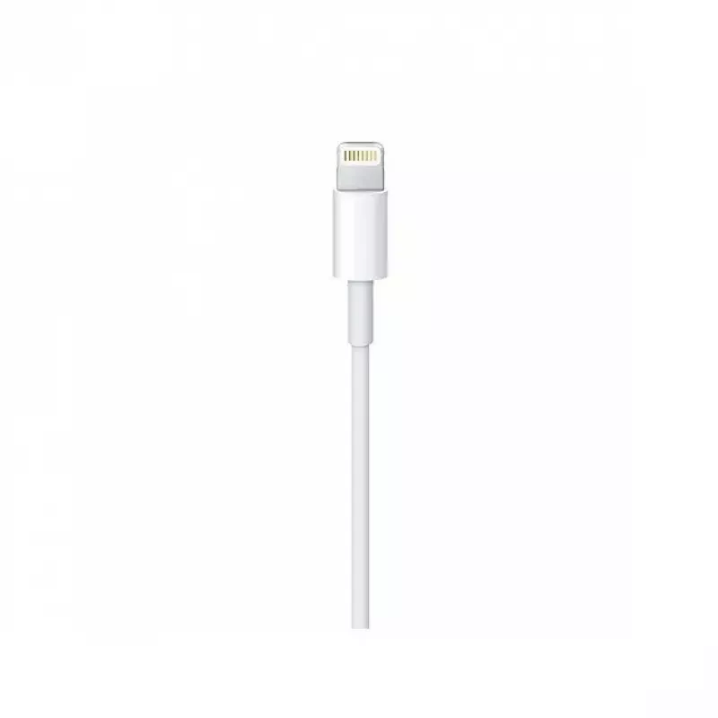 Cable Apple Lightning to USB-C Cable (2 m) MKQ42ZM/A