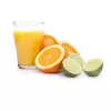 Citrus Juicer Princess 201004 Classic Black