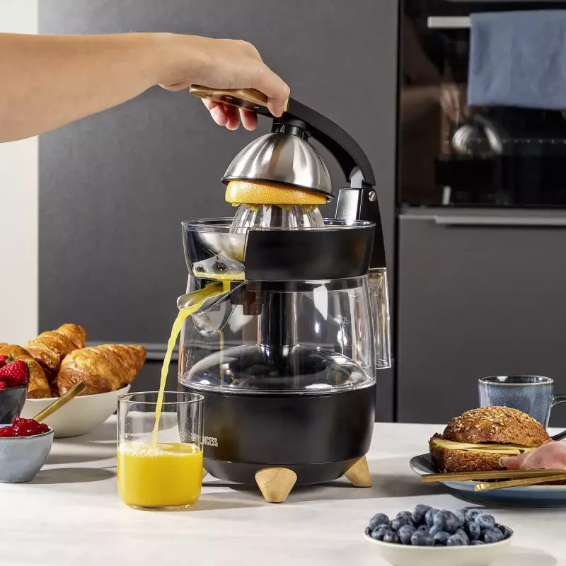 Citrus Juicer Princess 201862 Black Transparent 1L 300W