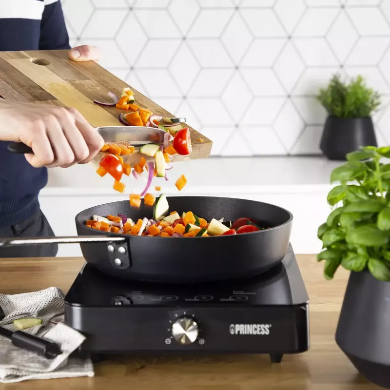Induction Plate Princess 303010, 1 Zone, Rotary and Touch Control