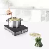 Induction Plate Princess 303010, 1 Zone, Rotary and Touch Control
