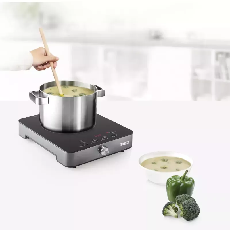 Induction Plate Princess 303010, 1 Zone, Rotary and Touch Control