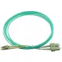 BlueOptics InfiniBand/fibre optic cable 30 m 2x LC 2x SC LC/APC