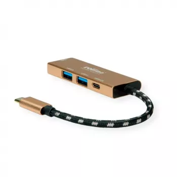 Laptop dock ROLINE 12.02.1119