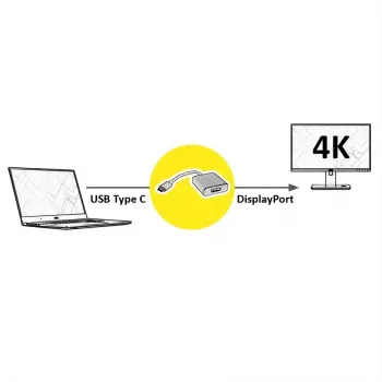 Video Cable Adapter ROLINE 12.03.3220 USB Type-C to DisplayPort 0.1 m