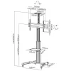 InLine Height Adjustable TV Cart for 37-70 inch Displays, 50 kg, VESA up to 600x400, Black