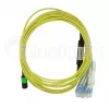 BlueOptics 470-ABGG InfiniBand fibre optic cable 5 m MTP 4x LC