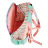 School backpack Herlitz Rookie Sweet Jungle Green Peach Polyester