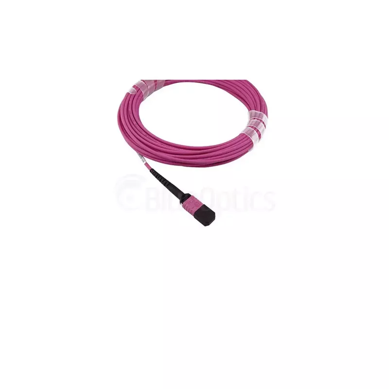 BlueOptics InfiniBand/fibre optic cable 7.5 m MPO OM4