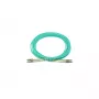 BlueOptics InfiniBand/fibre optic cable 10 m 2x LC LC/APC