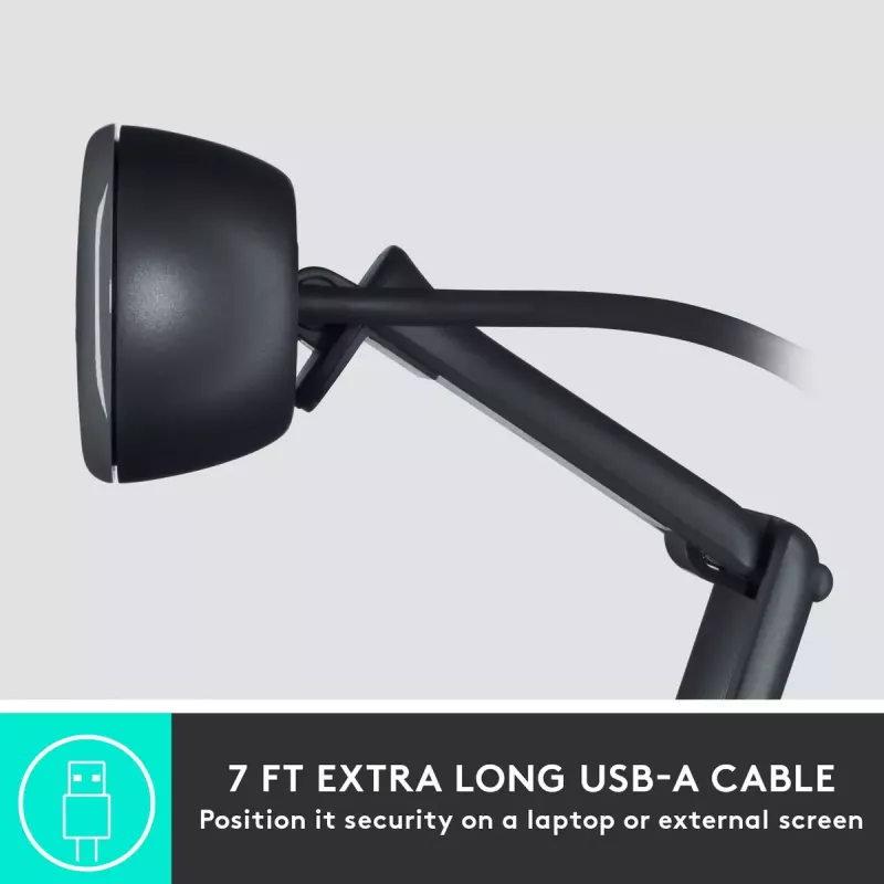 Webcam Logitech C505 HD 1280x720 USB Black