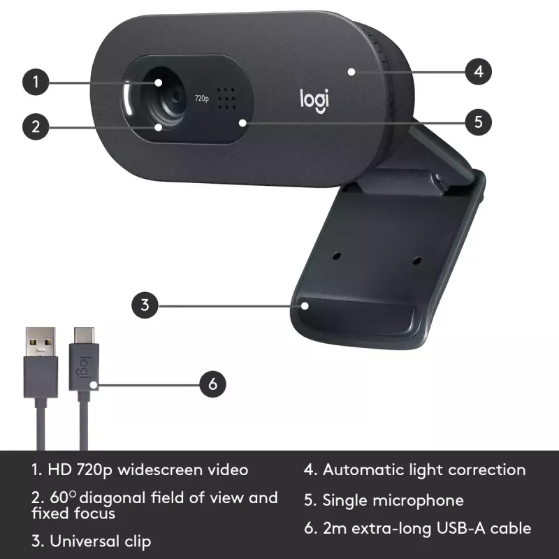 Webcam Logitech C505 HD 1280x720 USB Black