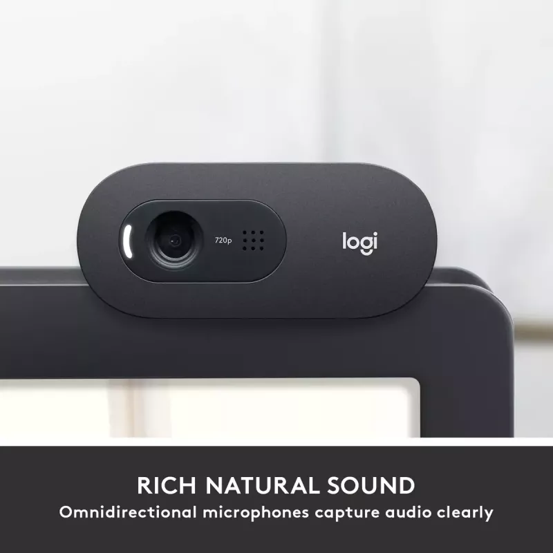 Webcam Logitech C505 HD 1280x720 USB Black