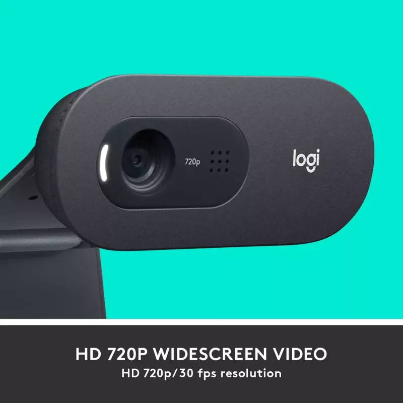 Webcam Logitech C505 HD 1280x720 USB Black
