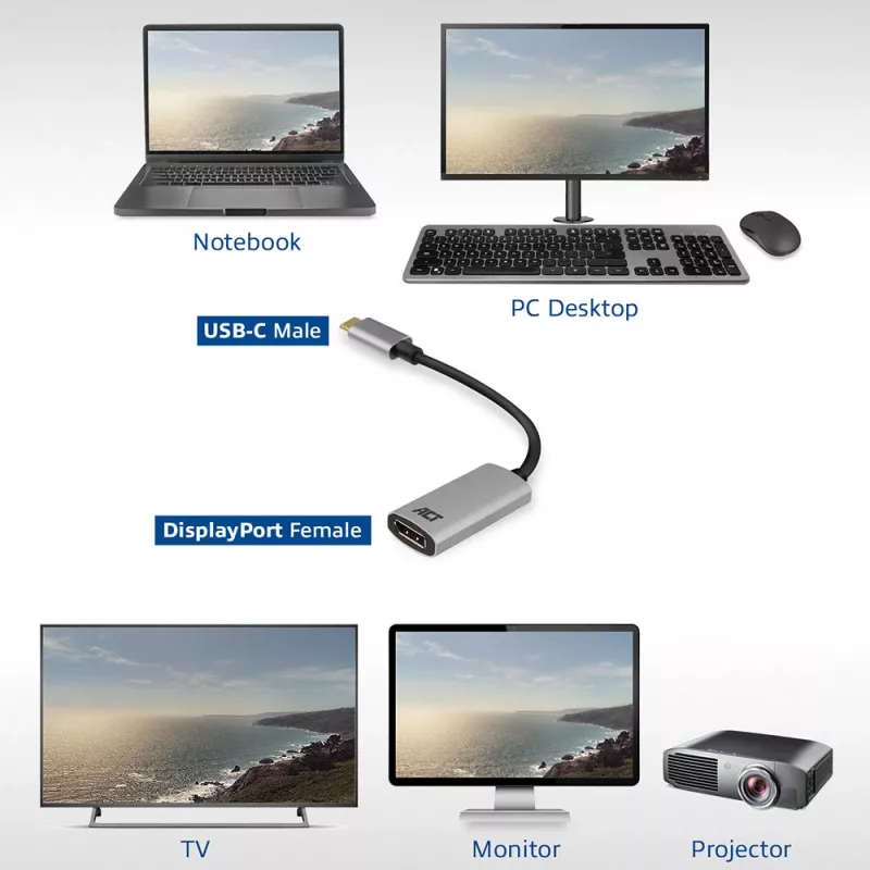 USB-C to DisplayPort adapter ACT AC7030