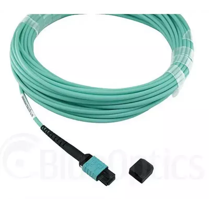 BlueOptics AT-MTP12-1-BO InfiniBand fibre optic cable 1 m MTP OM3