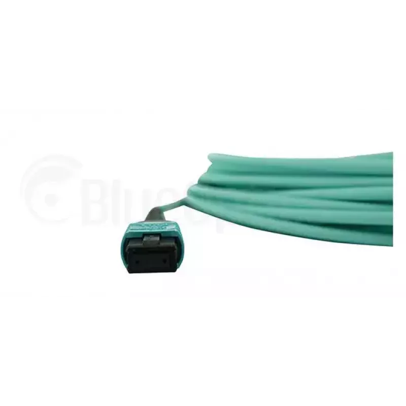 BlueOptics AT-MTP12-1-BO InfiniBand fibre optic cable 1 m MTP OM3