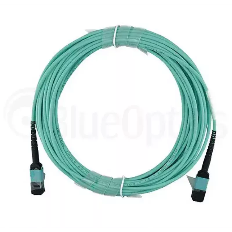BlueOptics AT-MTP12-1-BO InfiniBand fibre optic cable 1 m MTP OM3