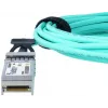 BlueOptics AXC7601-10000S-BO InfiniBand fibre optic cable 1 m SFP+ Male