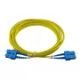 BlueOptics CAB-SMF-SC-SC-30 InfiniBand fibre optic cable 30 m SC SC