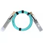 BlueOptics CBL-0310-030-BO InfiniBand/fibre optic cable 30 m QSFP