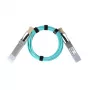 BlueOptics CBL-550-BO InfiniBand Fibre Optic Cable 50 m QSFP28 Aqua