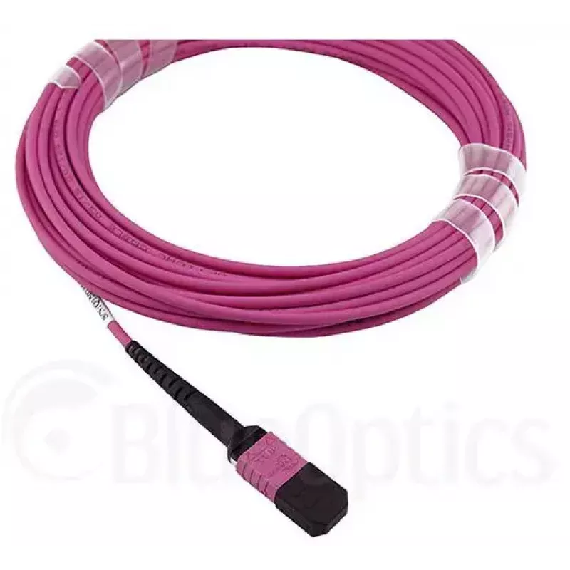 Fibre optic cable MPO BlueOptics CBL-MPO12-OM4-1M 1m OM4