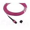 Fibre optic cable MPO BlueOptics CBL-MPO12-OM4-1M 1m OM4