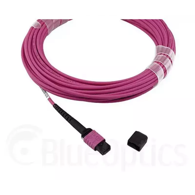 Fibre optic cable MPO BlueOptics CBL-MPO12-OM4-1M 1m OM4
