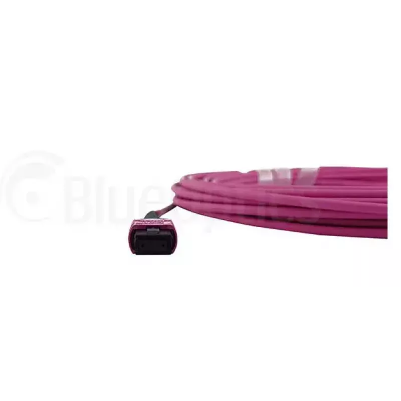 Fibre optic cable MPO BlueOptics CBL-MPO12-OM4-1M 1m OM4