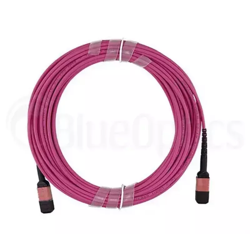 Fibre optic cable MPO BlueOptics CBL-MPO12-OM4-1M 1m OM4