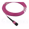Fibre optic cable MPO BlueOptics CBL-MPO12-OM4-20M-BO 20m OM4