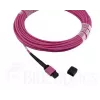 Fibre optic cable MPO BlueOptics CBL-MPO12-OM4-20M-BO 20m OM4