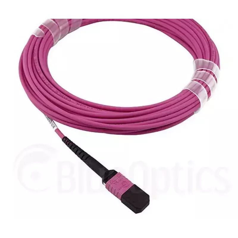 BlueOptics CBL-MPO12-OM4-2M InfiniBand fibre optic cable MPO 2m OM4