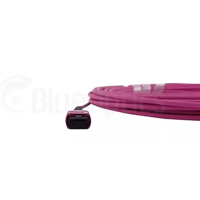 BlueOptics CBL-MPO12-OM4-2M InfiniBand fibre optic cable MPO 2m OM4
