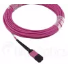 BlueOptics CBL-MPO12-OM4-3M-BO MPO Fibre Optic Cable 3m OM4 50µm