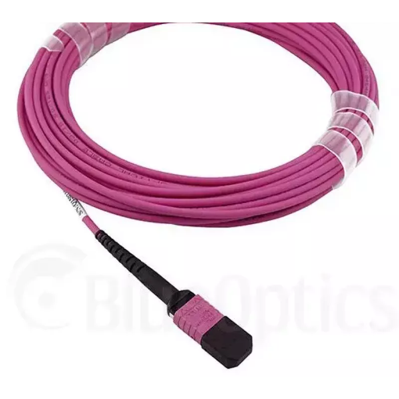 BlueOptics CBL-MPO12-OM4-3M-BO MPO Fibre Optic Cable 3m OM4 50µm